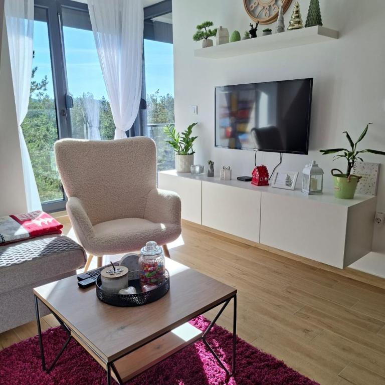 Apartman PANORAMA Green Hills Divčibare - Apartman sa 1 Spavaćom Sobom - 1