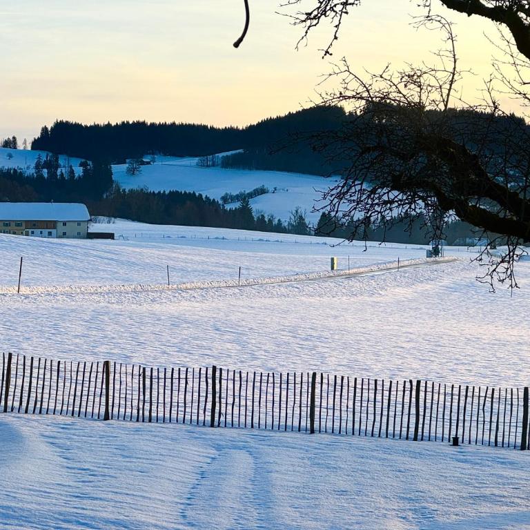 Genau so - Allgäu! Sau Gemütlich - Apartment mit 2 Schlafzimmern - 14