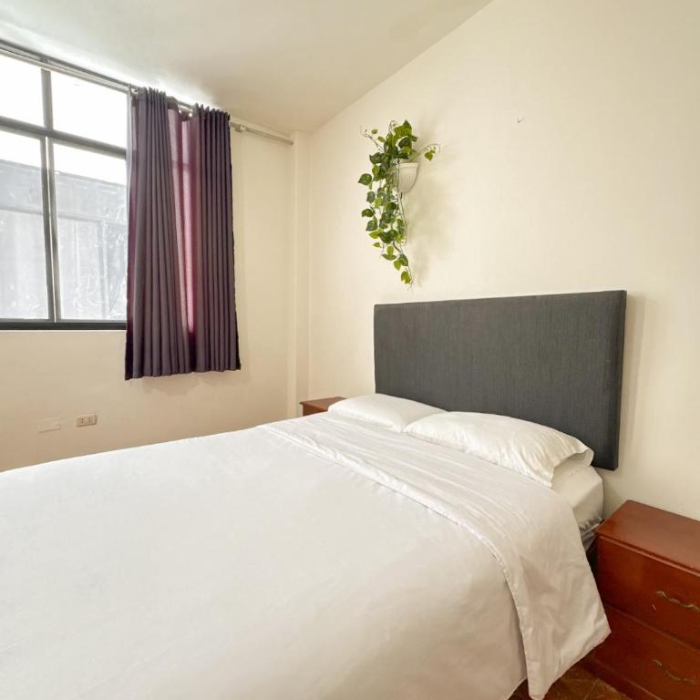 Hospedaje Gran Imperial - Habitación Doble - 5