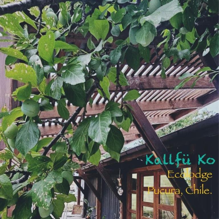 Kallfü Ko Ecolodge - Three-Bedroom House - 7