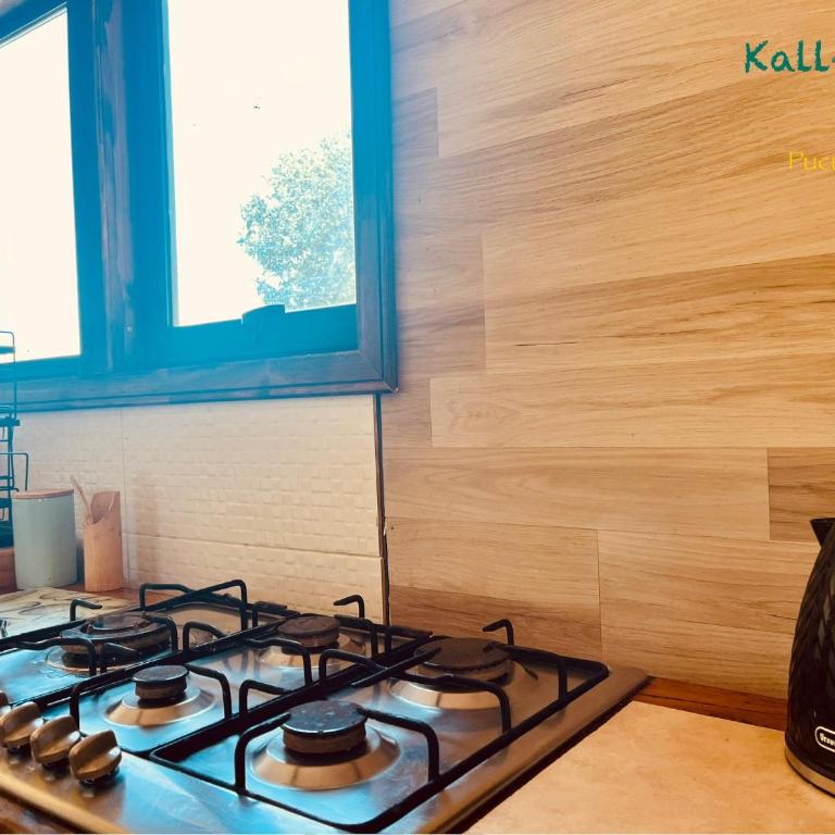Kallfü Ko Ecolodge - Three-Bedroom House - 9