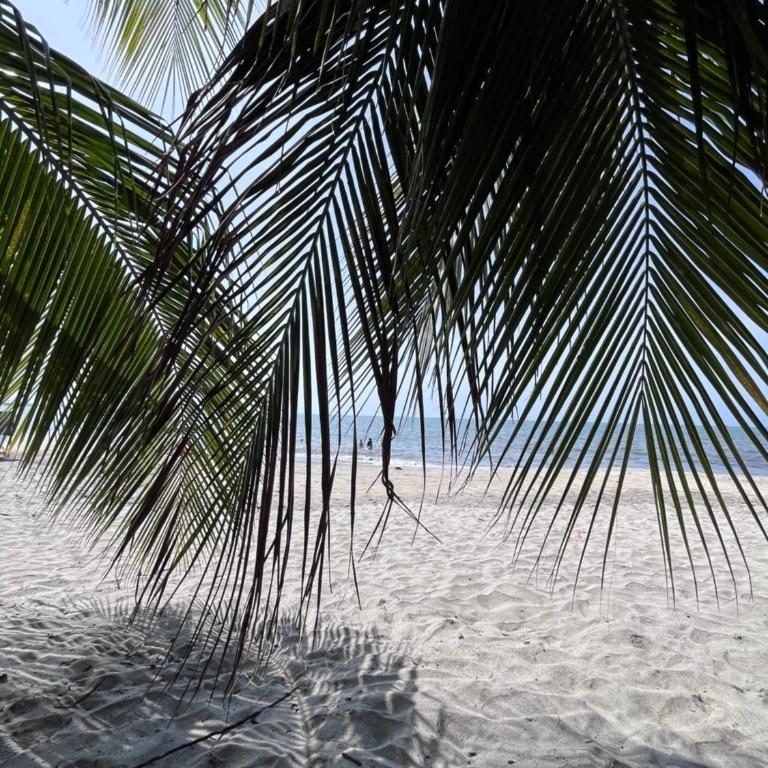 Resort Art Suite en el Caribe - Apartamento de 1 dormitorio - 10