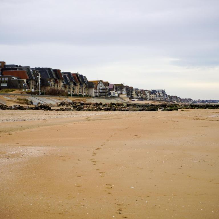 Le Coquillage Bleu - Élégance marine à Cabourg - Appartamento con 1 Camera da Letto - 14
