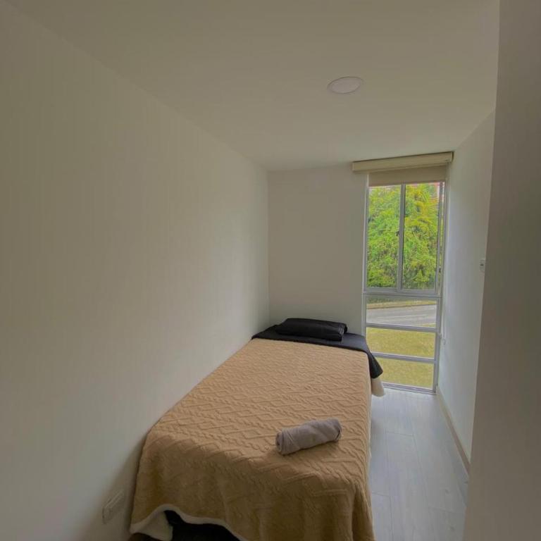 Apartamento en Manizales - Apartamento de 2 dormitorios con vistas - 7