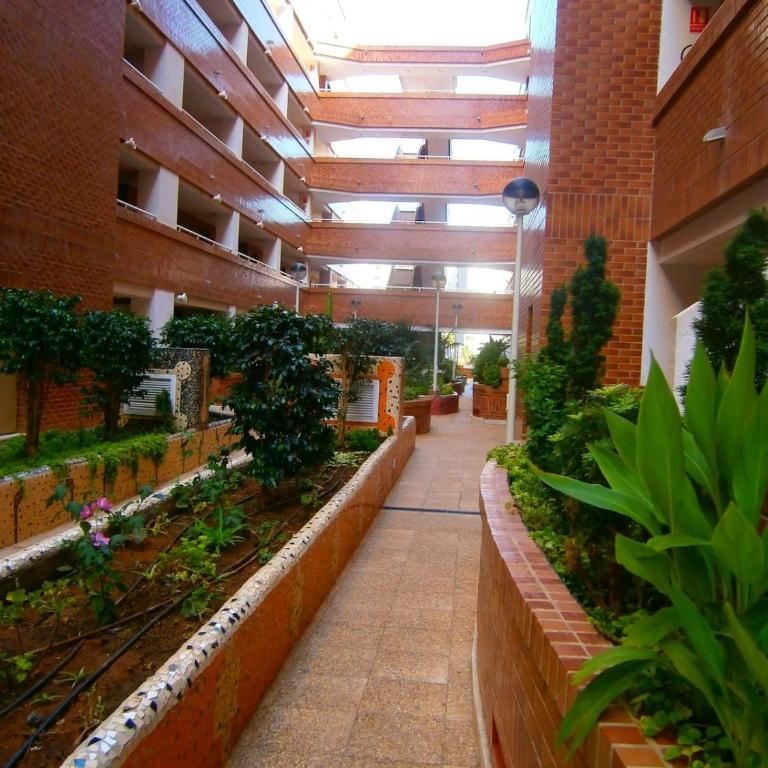Planta Baja Mar de Coral Oropesa del Mar - Apartamento de 2 dormitorios con terraza - 17