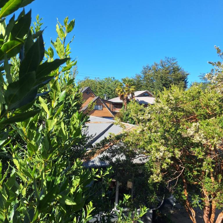 Dos Arrayanes - One-Bedroom Apartment - 25