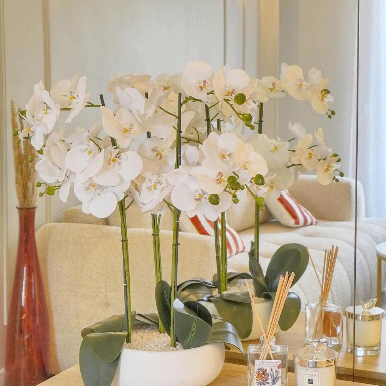 Emily 2 bedrooms 2 baths near Palais - Apartment - 14