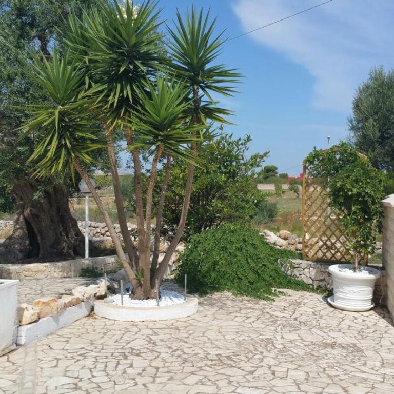Villa Santo Stefano - Appartamento con 3 Camere da Letto - 29