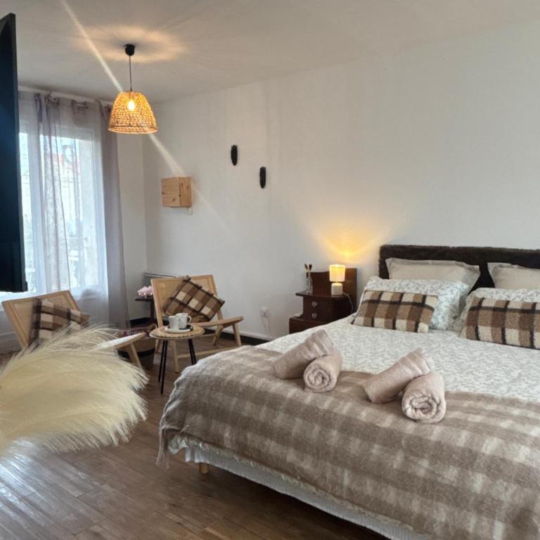 Suite climatisée -Proche Arena & Grands buffets - Suite Superior - 5