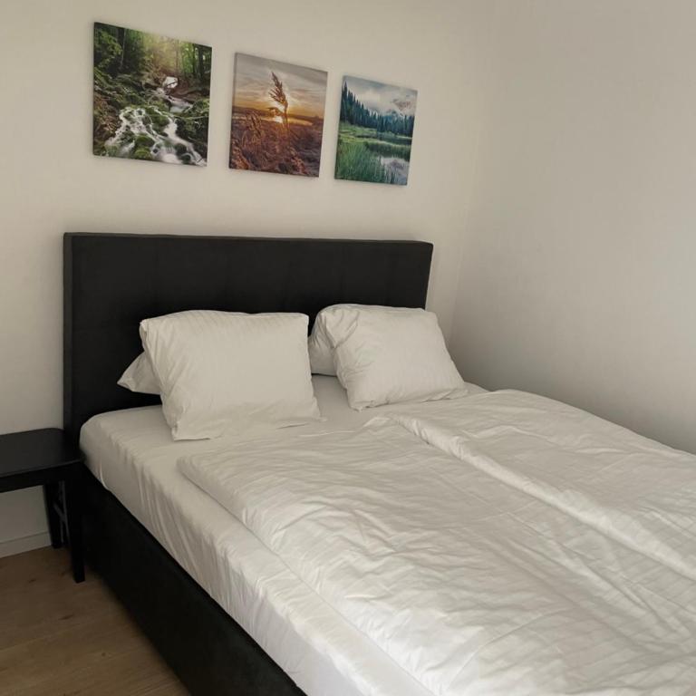 Wilten 11 - Appartement 2 Chambres - 14