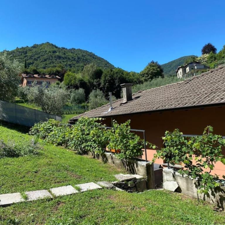 Zenzero Comfort Apartment - Appartamento - 1