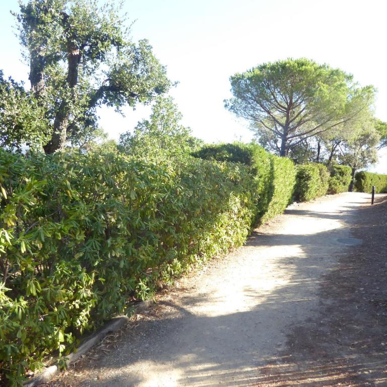 Ferienhaus bei St. Tropez - Haus mit 2 Schlafzimmern - 15