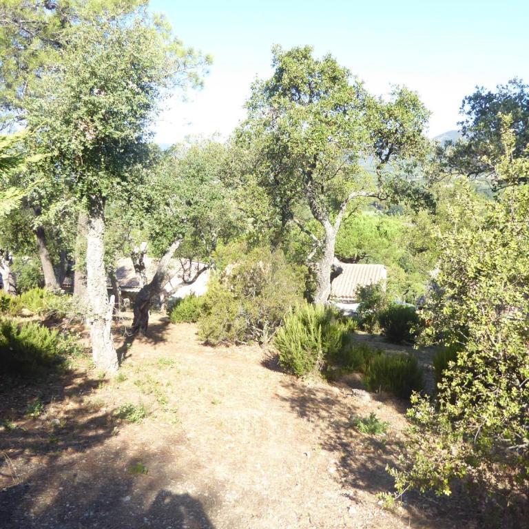 Ferienhaus bei St. Tropez - Haus mit 2 Schlafzimmern - 16