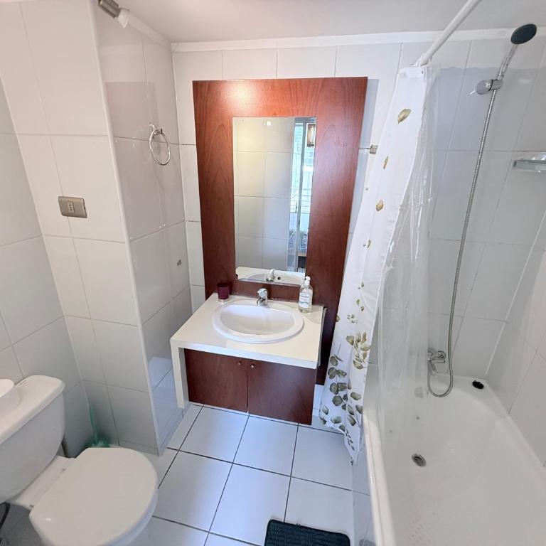 Departamento hermoso y seguridad a metros de Providencia - Apartamento de 1 dormitorio - 23