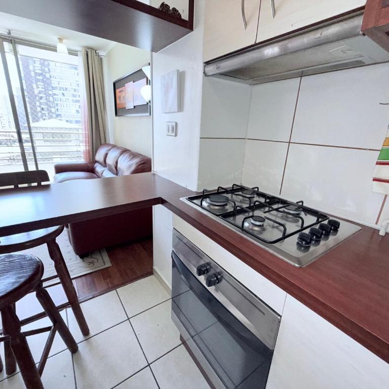 Departamento hermoso y seguridad a metros de Providencia - Apartamento de 1 dormitorio - 16
