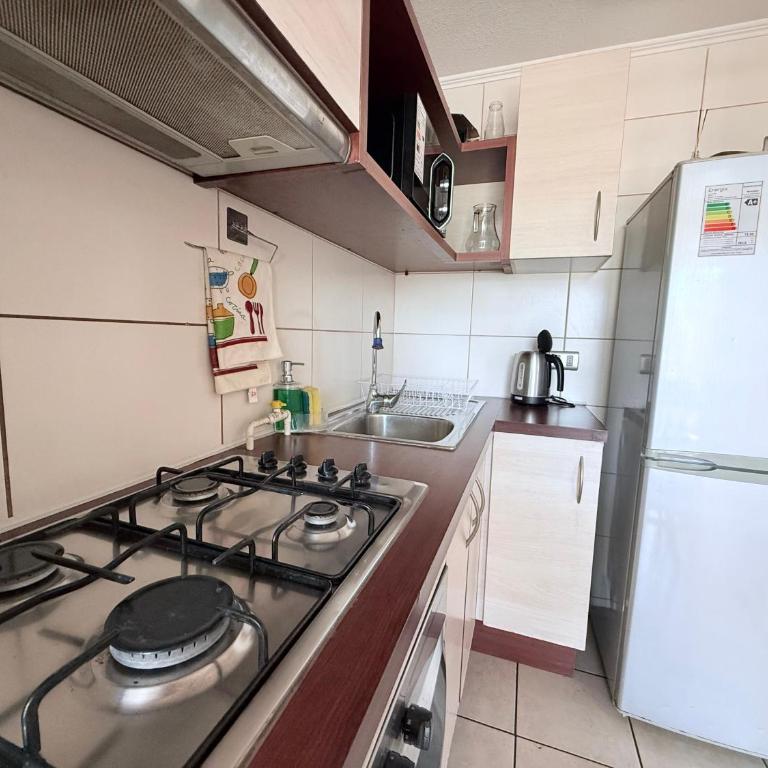 Departamento hermoso y seguridad a metros de Providencia - Apartamento de 1 dormitorio - 8