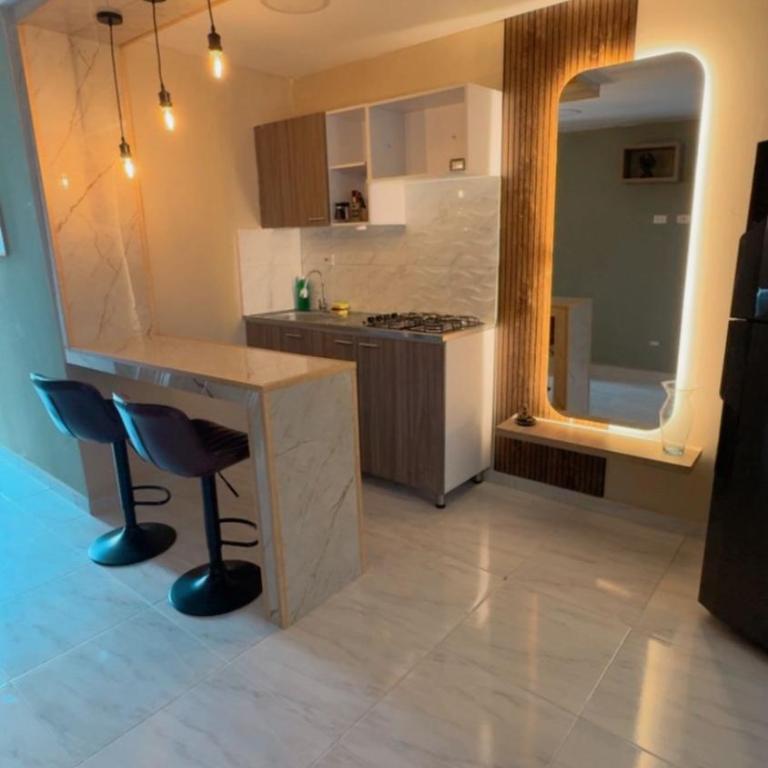 Elegante apartamento premium ideal para trabajo y descanso - One-Bedroom Apartment - 25