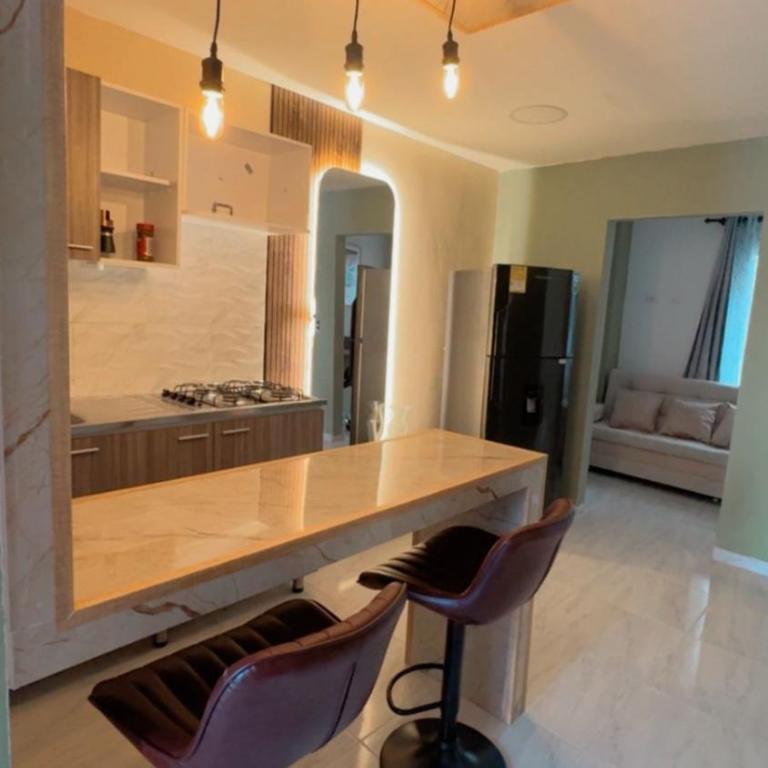 Elegante apartamento premium ideal para trabajo y descanso - One-Bedroom Apartment - 44