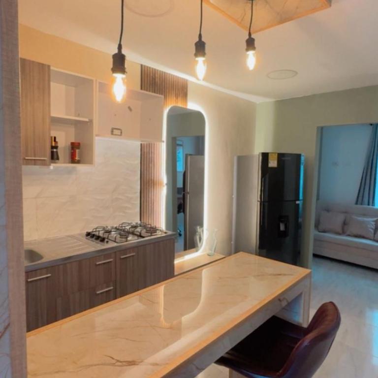 Elegante apartamento premium ideal para trabajo y descanso - One-Bedroom Apartment - 50