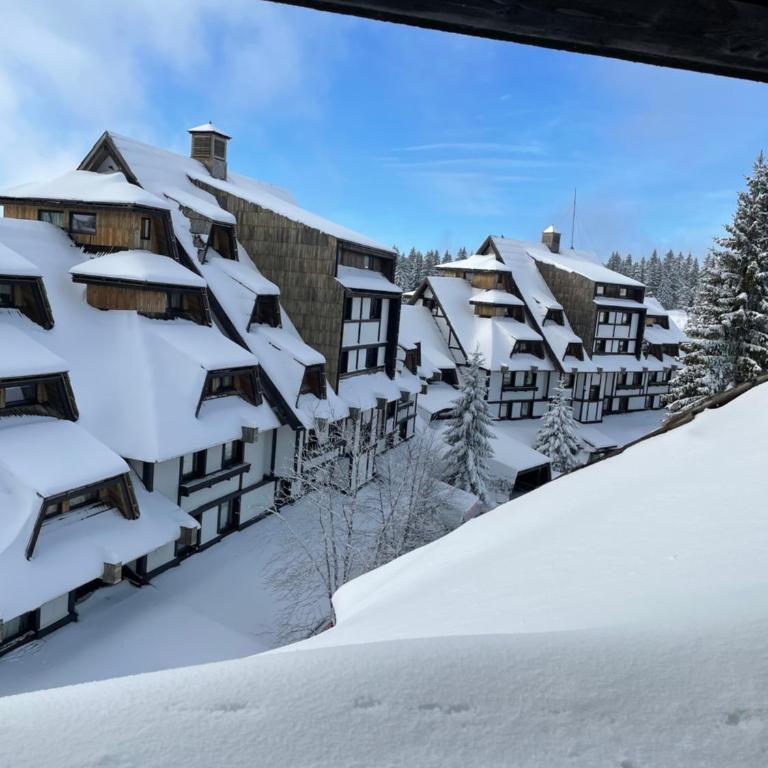 Apartments Konaci Kopaonik - Studio with Mountain View - 1