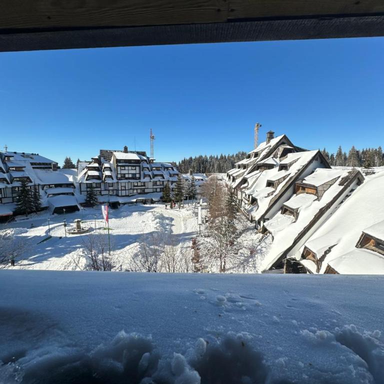Apartments Konaci Kopaonik - Studio with Mountain View - 1
