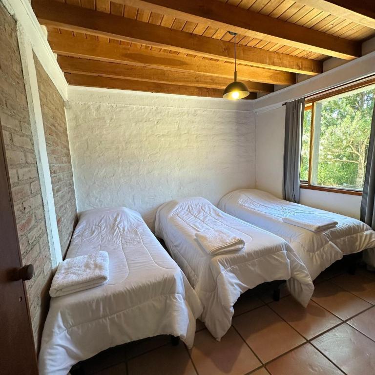 Huilen de Bandurrias - Casa de 2 dormitorios - 29