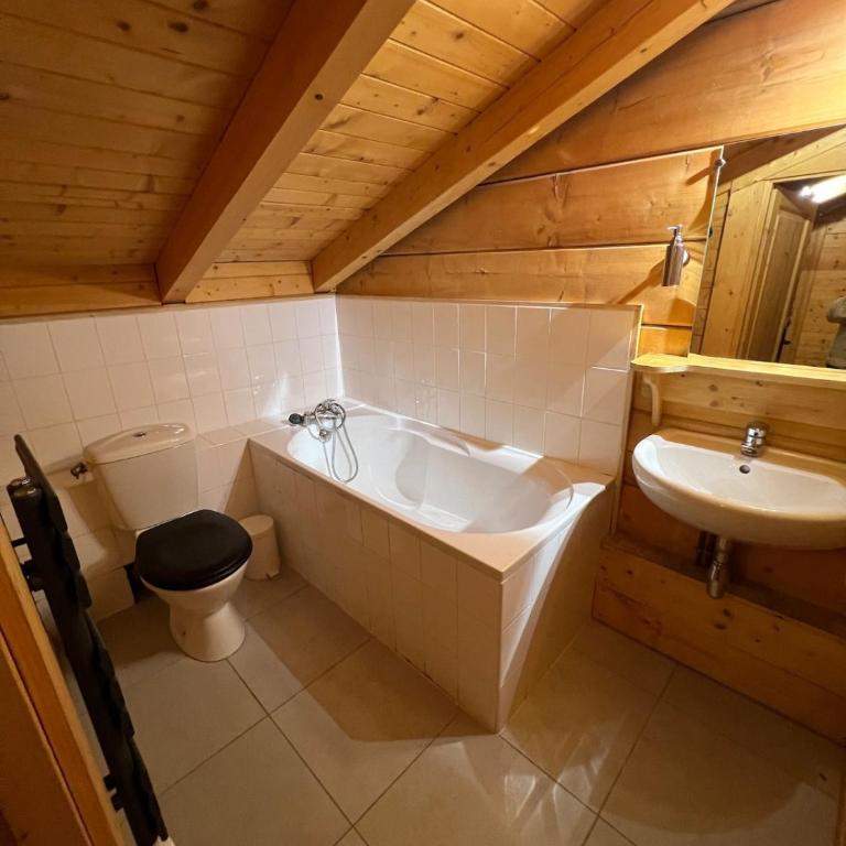 Beautiful spacious chalet 15 people ALPE d'Huzes et Tour de France - Chalet - 10