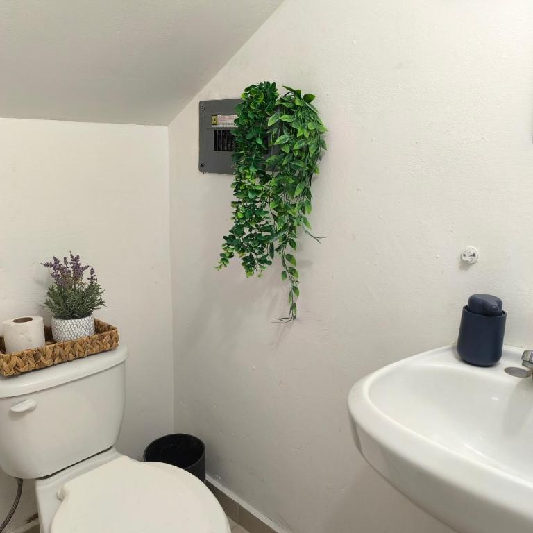 Casa para 8 personas en Apodaca, cerca del aeropuerto - Three-Bedroom House - 17
