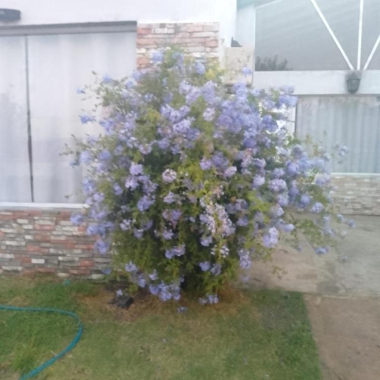 Casa Federación - Casa de 2 dormitorios - 2