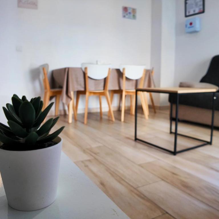 Apartalux Benidorm's Port - Apartamento de 3 dormitorios - 25