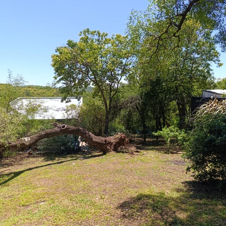 Loft camino del cuadrado - Apartamento de 1 dormitorio - 4