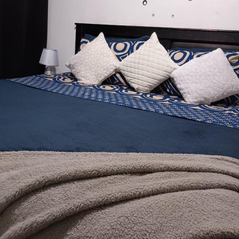 Apartsantiago - One-Bedroom Apartment - 3