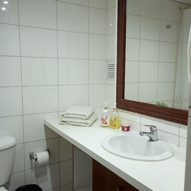 Apartsantiago - One-Bedroom Apartment - 4