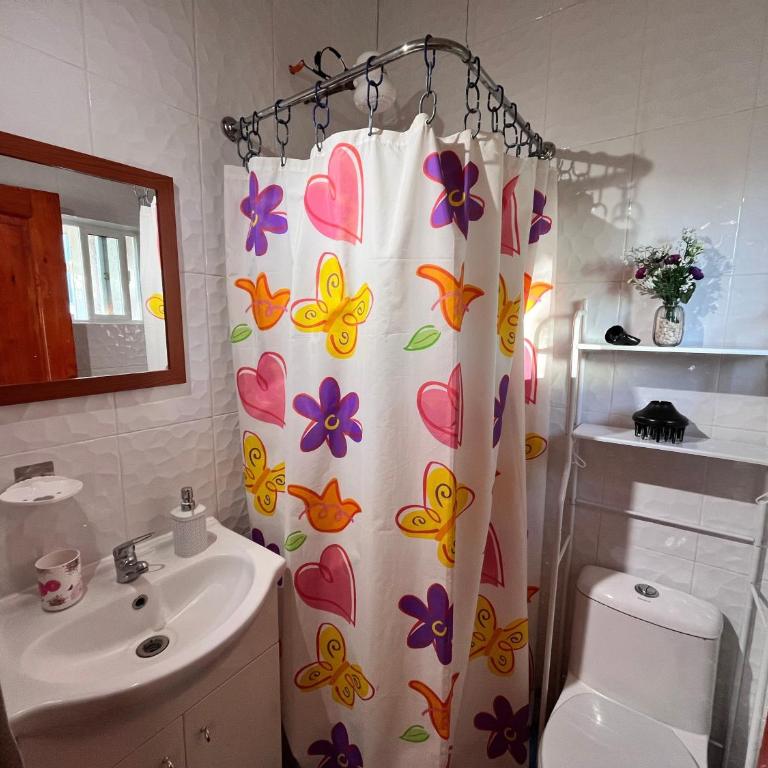 Hospedaje Brisas de Frutillar - Double Room with Garden View - 3