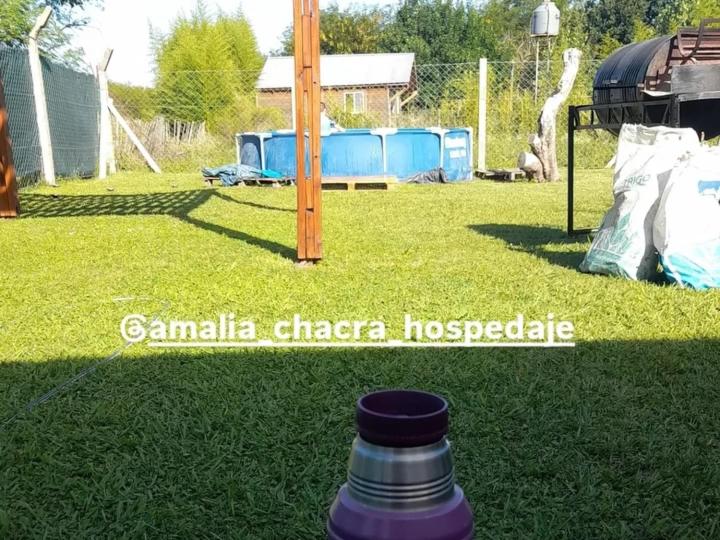 Amalia Chacra Hospedaje - Casa de 2 dormitorios - 6