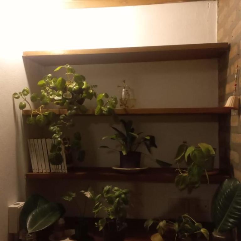 Casa Corna - Three-Bedroom Apartment - 3