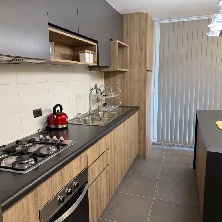 Hermoso departamento Temuco - Two-Bedroom Apartment - 2