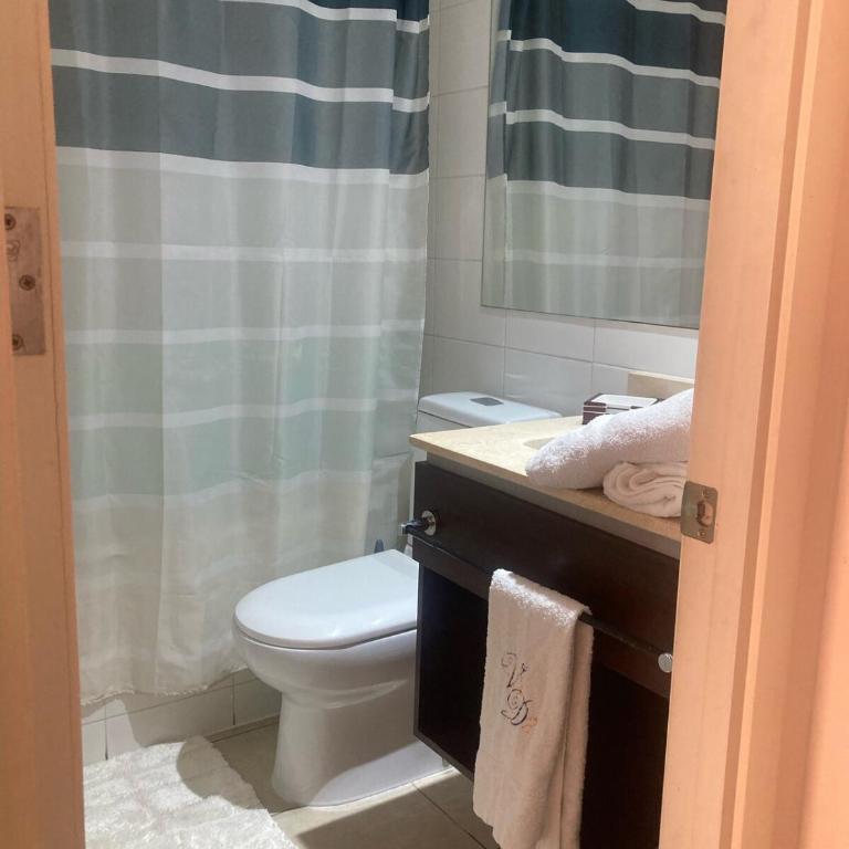 Agradable departamento en Centro de Viña del Mar - Two-Bedroom Apartment - 17