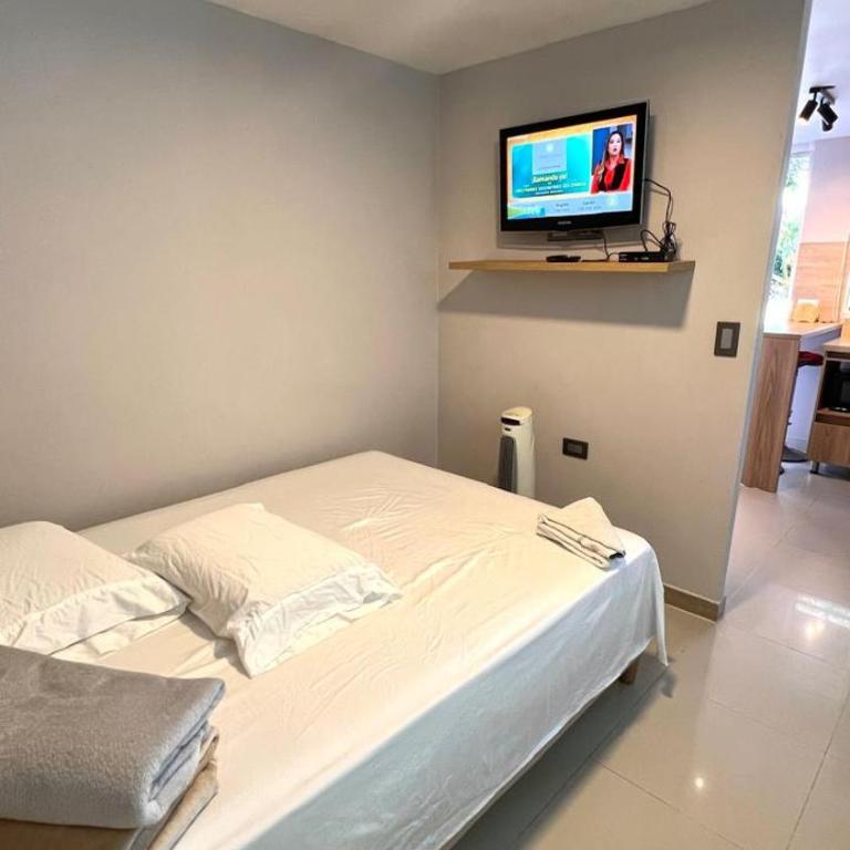 Ideal apartment, view, park and key location - One-Bedroom Apartment - 5