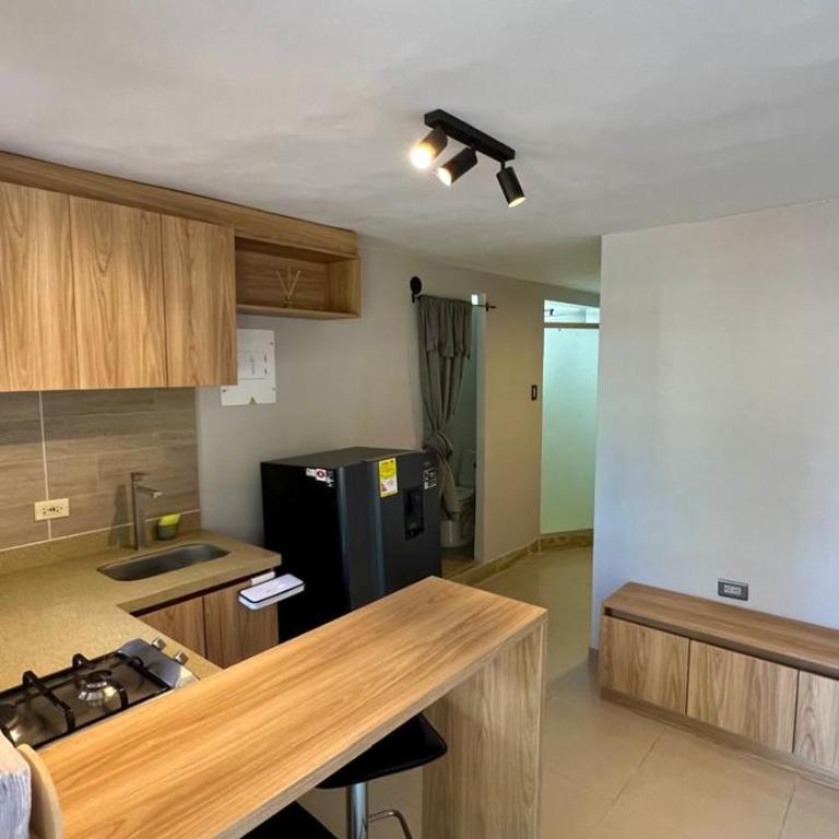Ideal apartment, view, park and key location - One-Bedroom Apartment - 11