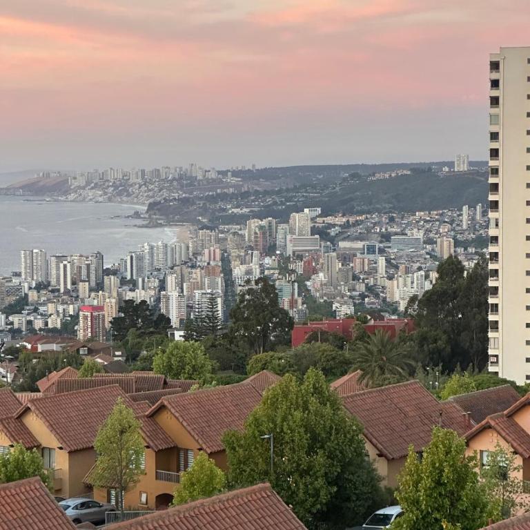 Soleado con hermosa vista a Viña del Mar - One-Bedroom Apartment - 1