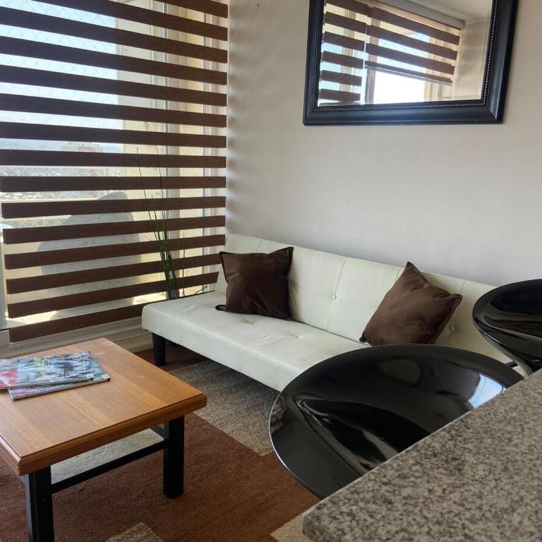 Soleado con hermosa vista a Viña del Mar - One-Bedroom Apartment - 4