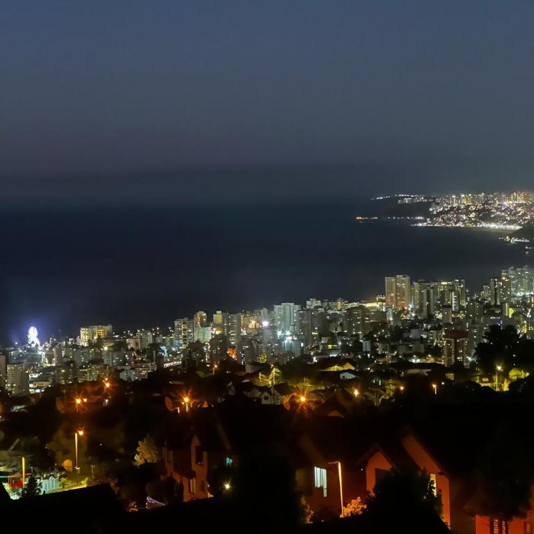Soleado con hermosa vista a Viña del Mar - One-Bedroom Apartment - 5
