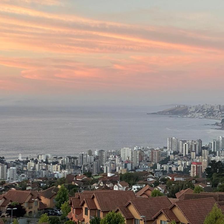 Soleado con hermosa vista a Viña del Mar - One-Bedroom Apartment - 10