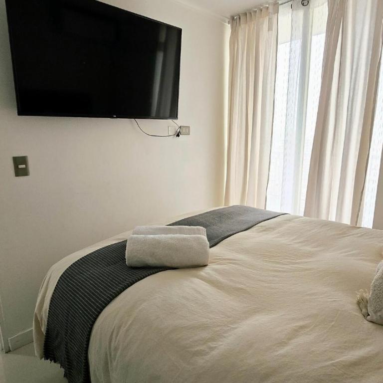Departamento Centro de Santiago - One-Bedroom Apartment - 9
