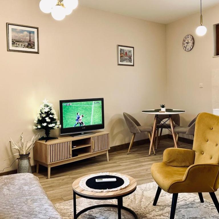 Central Station Apartments - Apartman sa 1 Spavaćom Sobom - 12