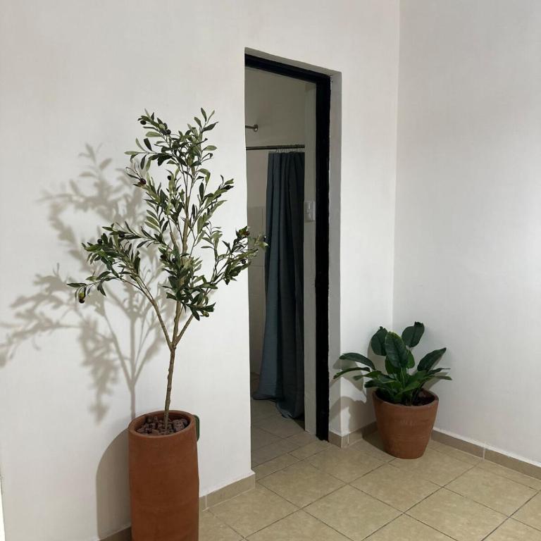 Casa Eugenia Downtown apartment - Apartamento de 3 dormitorios - 19