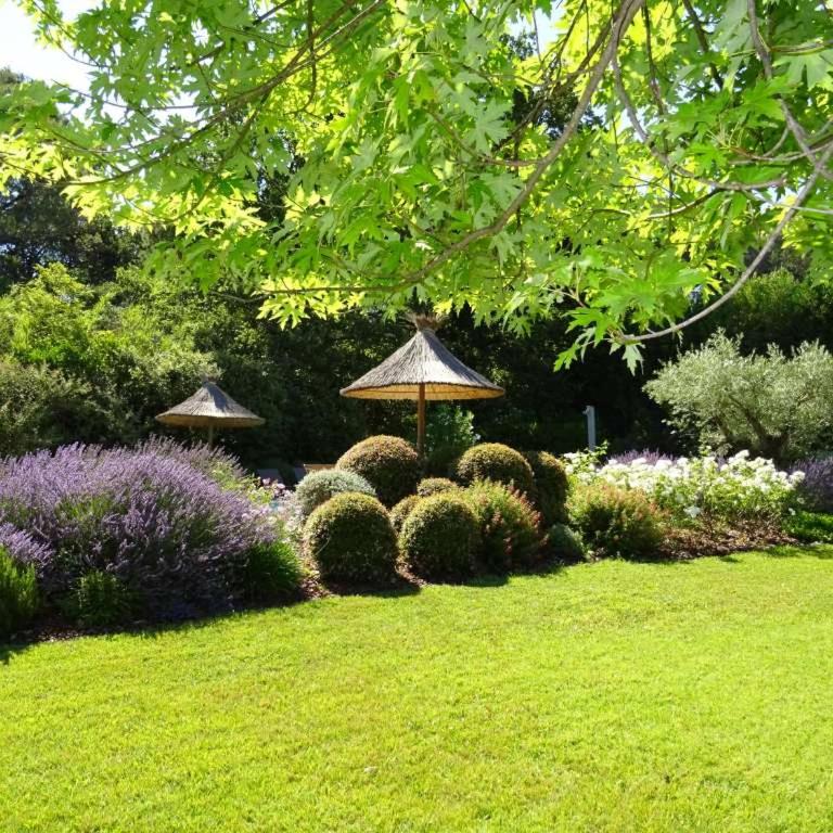 Auberge De Saint-Rémy - Mas De Garance - Table Gastronomique Doublement Étoilé - Villa avec Piscine Privée - 5