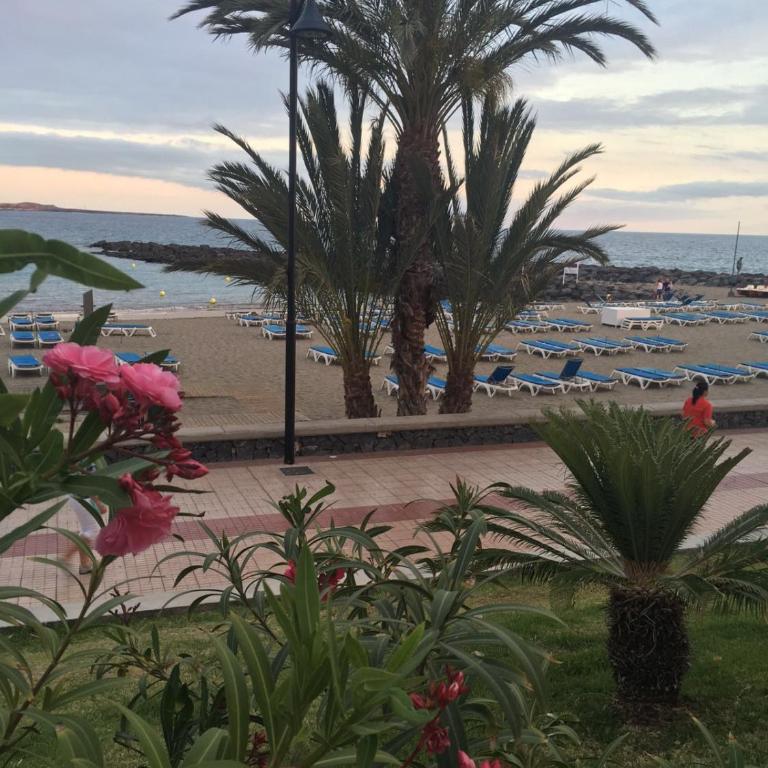 Playa de Las Américas Holiday Home - Apartamento con vistas a la piscina - 23