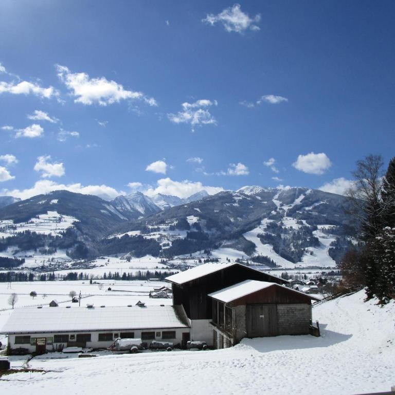 Appartment Stiegler - Apartment mit Blick auf die Berge - 19